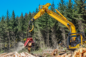 伐採（主伐・間伐・除伐)