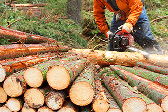 造材・枝葉回収