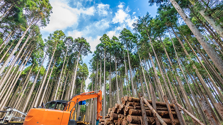 伐採工事業Felling construction