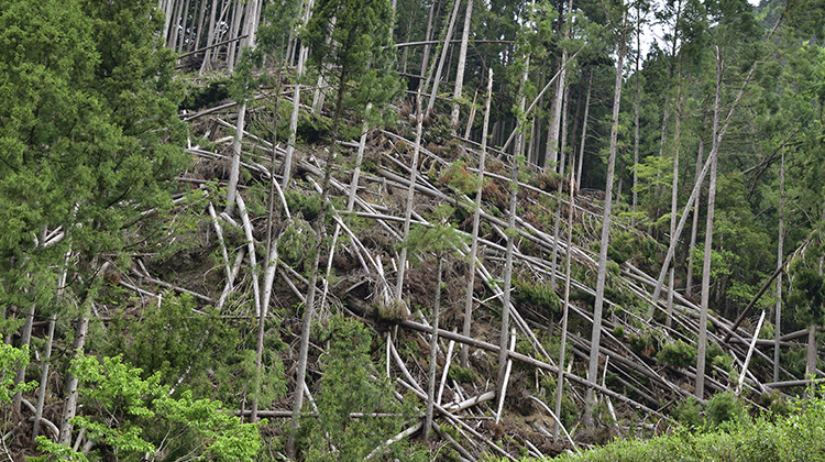 災害復旧派遣業Disaster dispatch